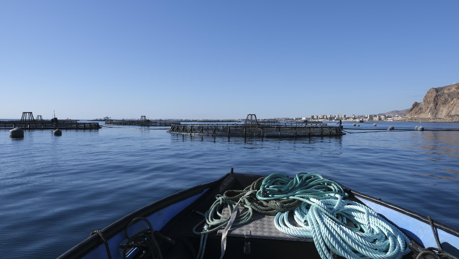 La piscifactoría de El Cañarete, en imágenes
