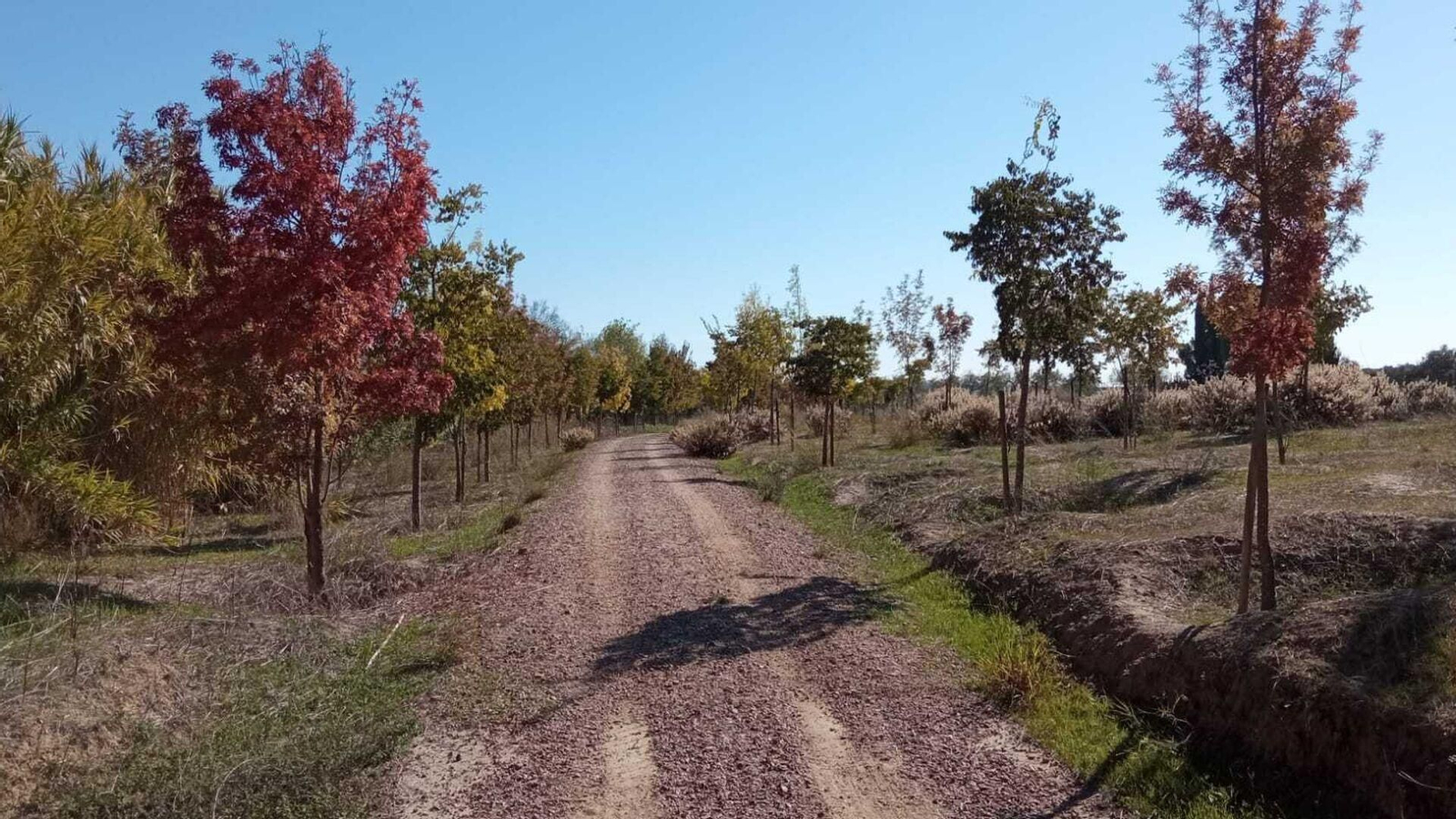 Ruta del Pudio desde Espartina