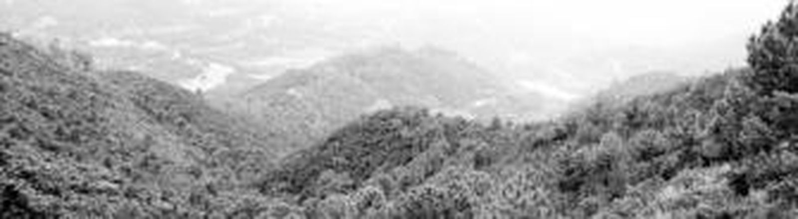 Vista de la finca La Resinera, propiedad del Lybian Arab Foreign Bank.