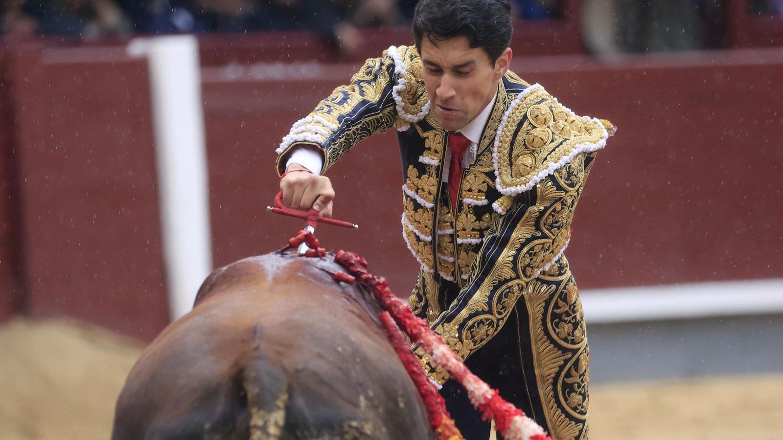 l novillero  Jorge  Molina durante el duodécimo festejo de la Feria de San Isidro,  en la Monumental de Las Ventas.