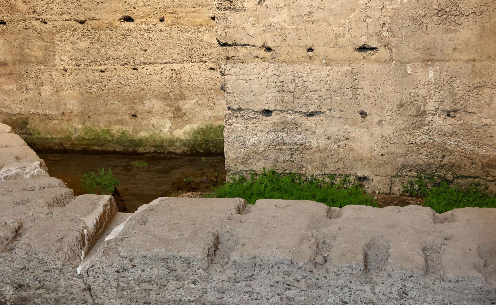 Jornada de puertas abiertas en las Atarazanas