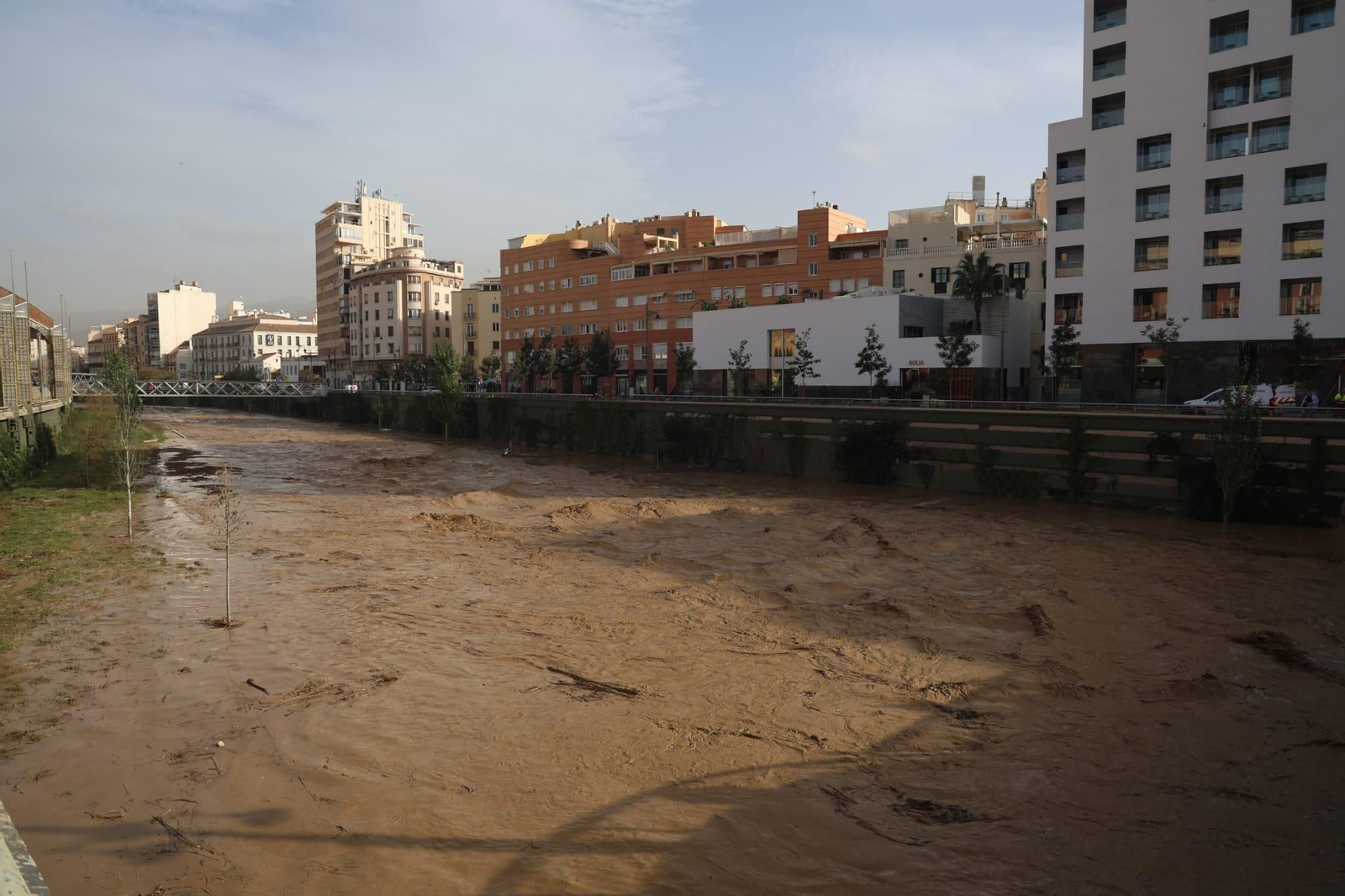 Las playas de Málaga despiertan con el agua revuelta y llenas de cañas