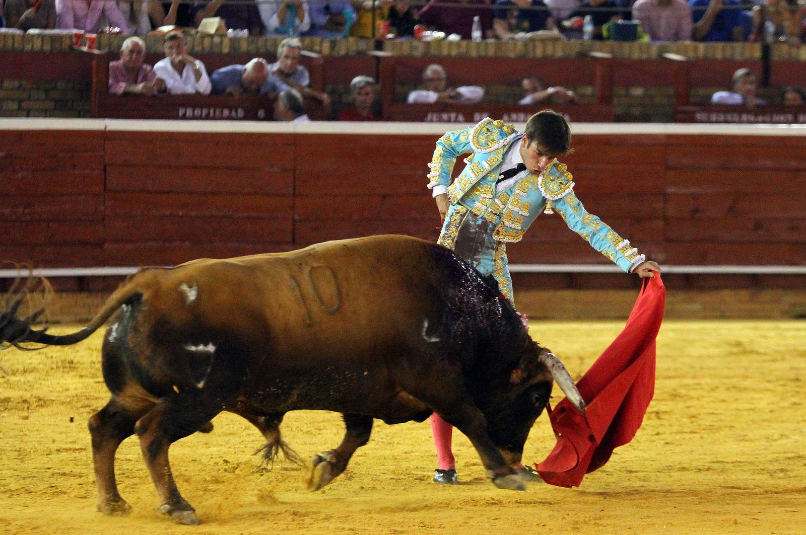 Imágenes de la Novillada de Rafael Serna, Emilio Silvera y Rodrigo Molina.