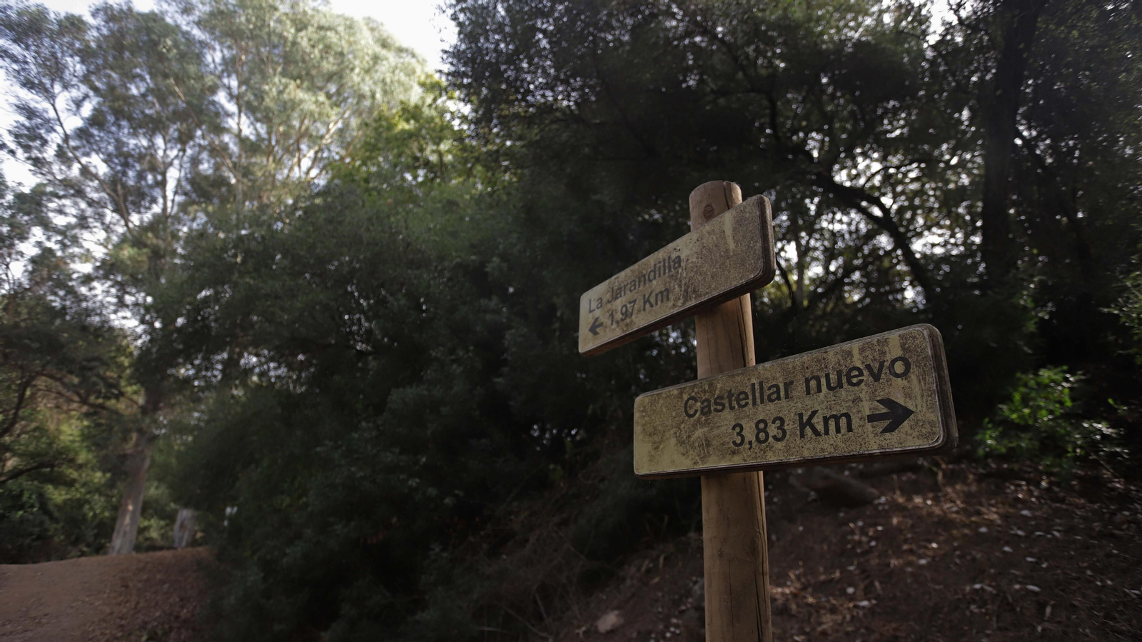 Fotos del sendero de la mariposa monarca en Castellar