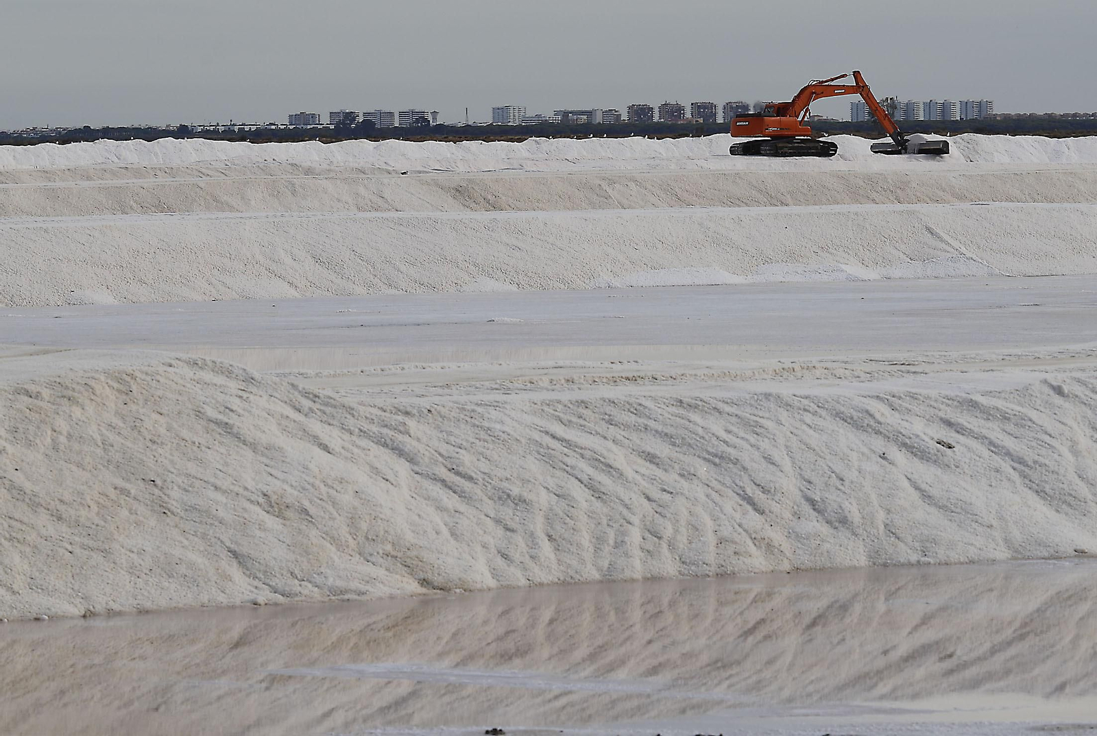 Paraje natural Marismas del Odiel, paraíso de Huelva entre salinas