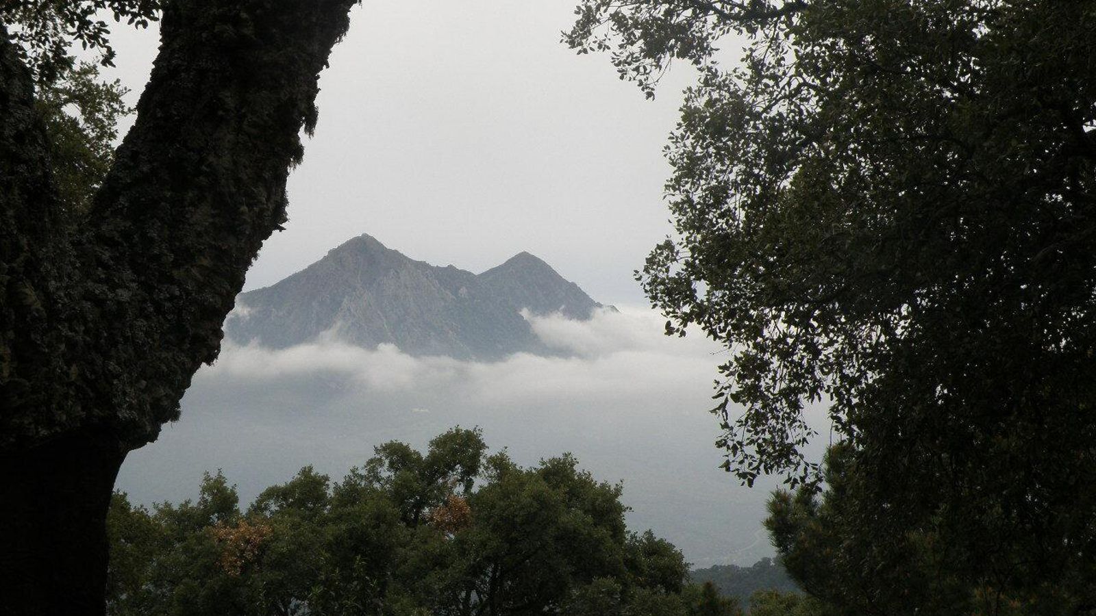 Al fondo se vislumbra el Paraje Natural Sierra Crestellina.