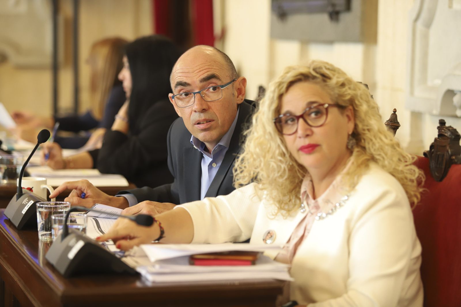 Las fotos del Pleno de abril del Ayuntamiento de Málaga