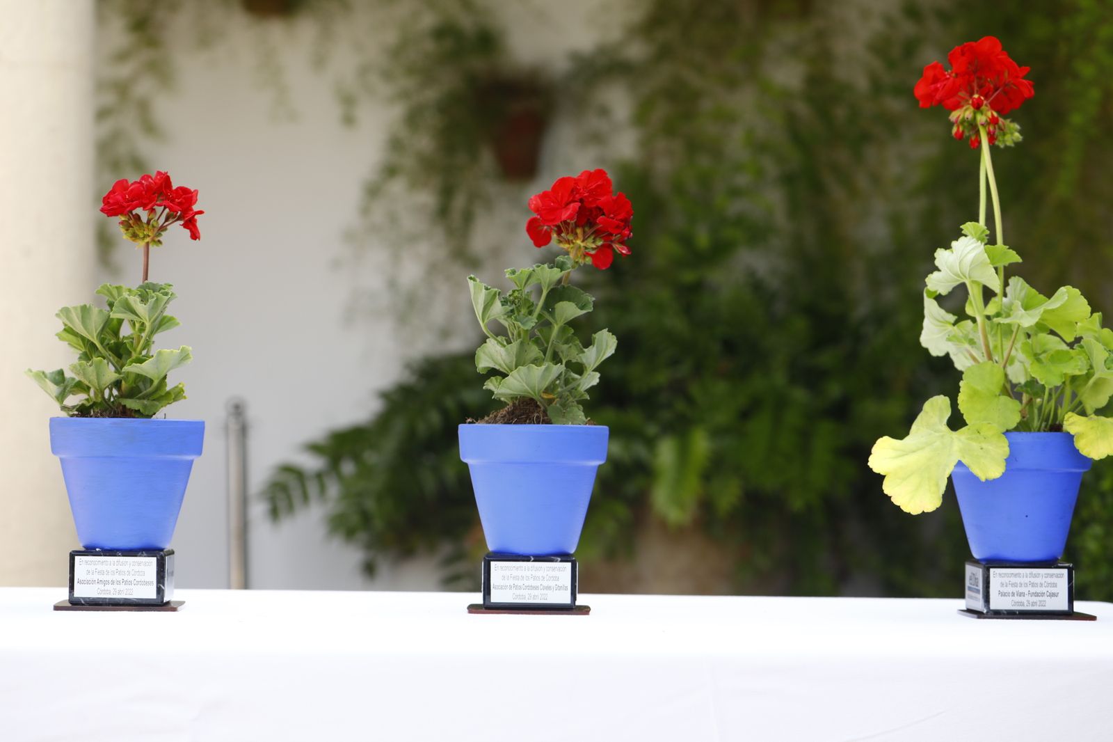 La presentación de la Guía de Patios de el Día de Córdoba, en imágenes