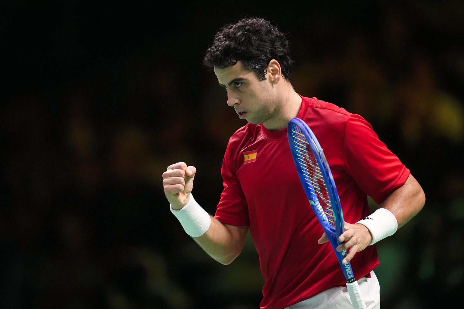 Las fotos de la final de la Copa Davis Italia-España