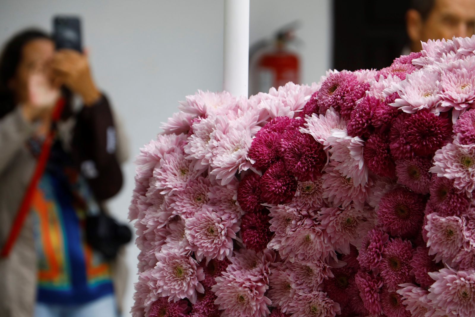 Arranca Flora 2023: estas son las mejores imágenes