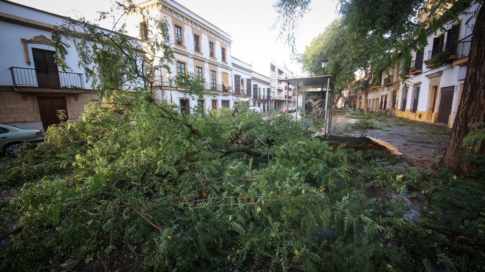 Caos en Jerez por los destrozos del temporal de viento