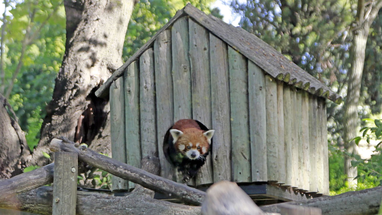 Reapertura del Zoo de Jerez