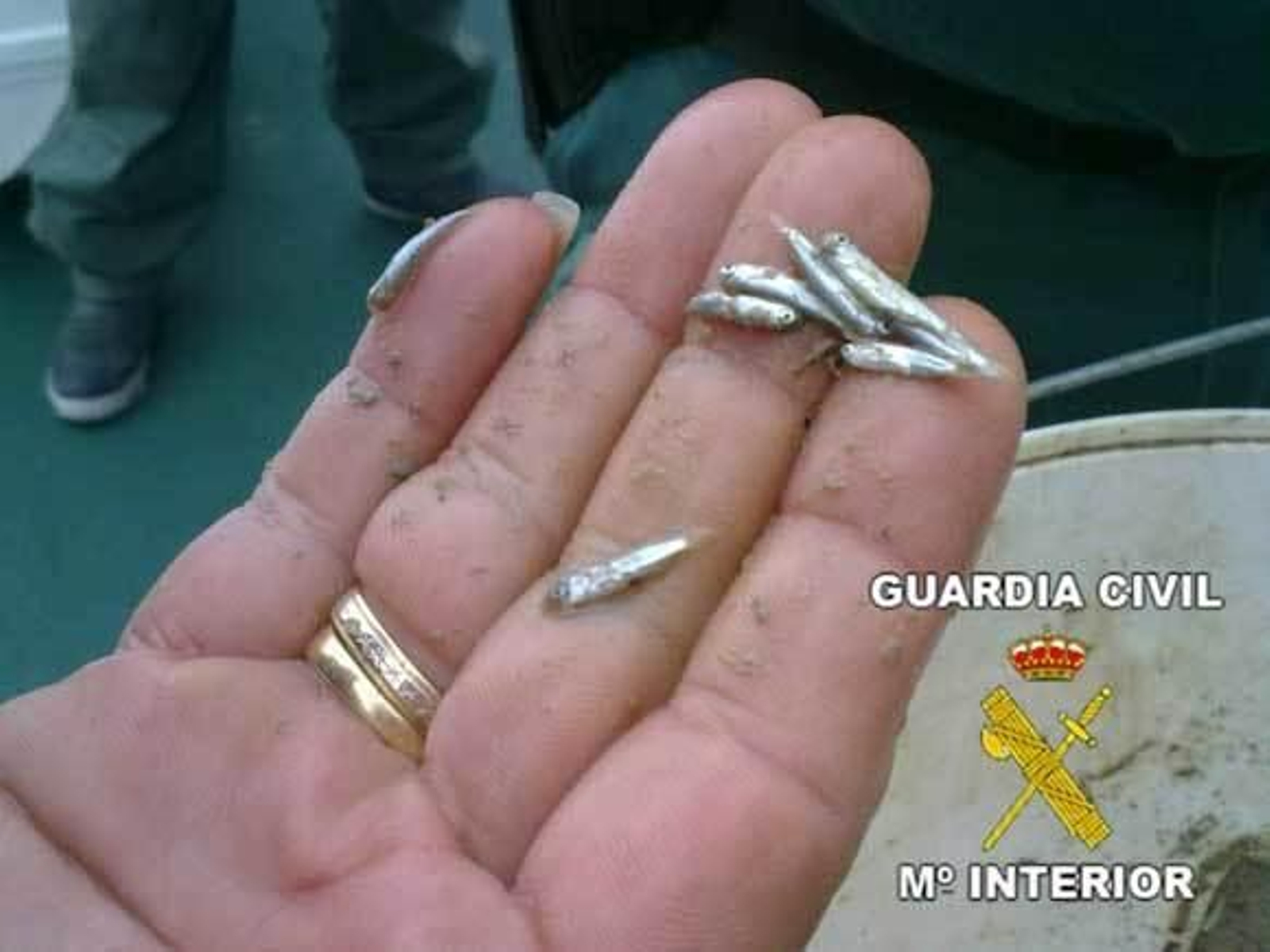 Foto: Borja Benjumeda