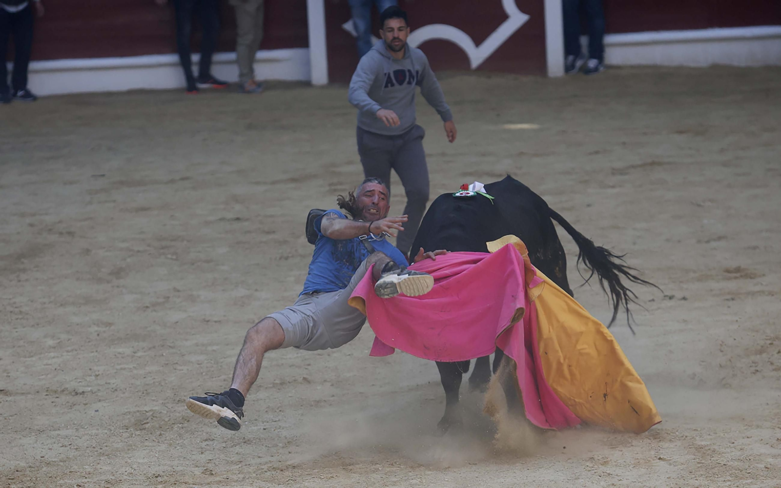 Fotos de los encierros del sábado del Toro Embolao en Los Barrios