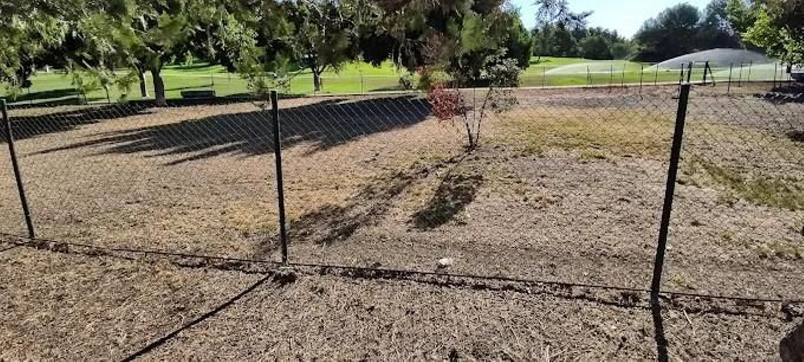 Parque canino Picadueñas. Dirección: avenida las Amapolas, 18.