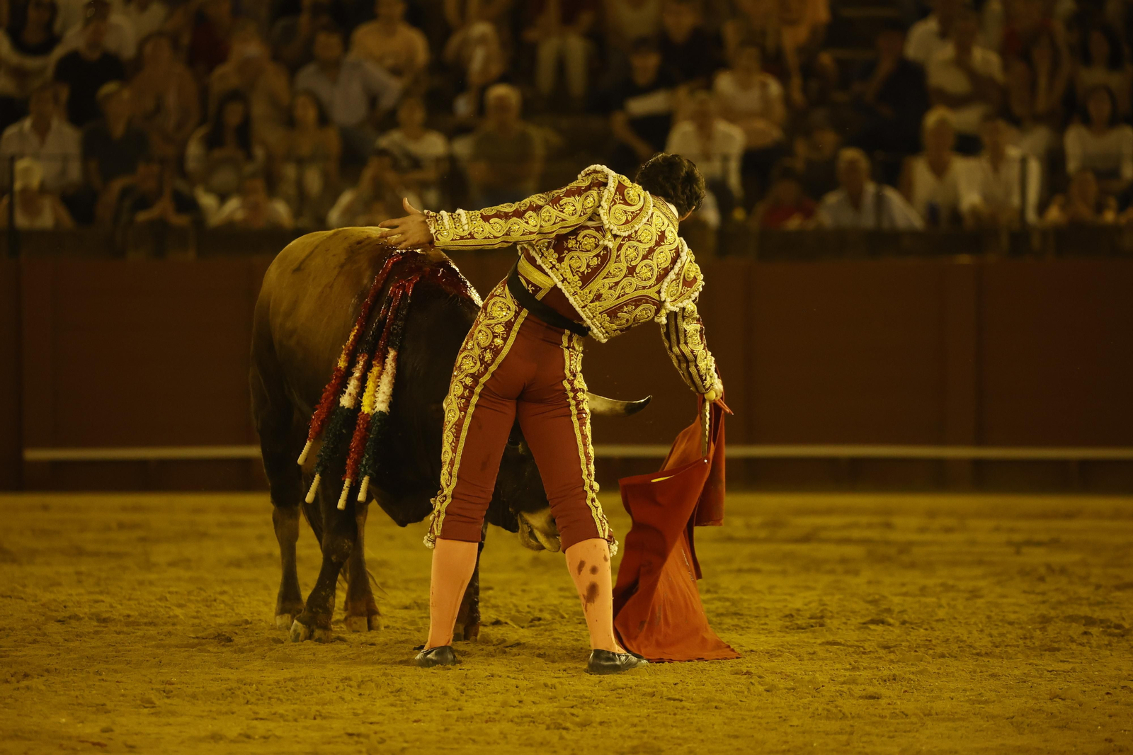 Las imágenes de la novillada en la Maestranza
