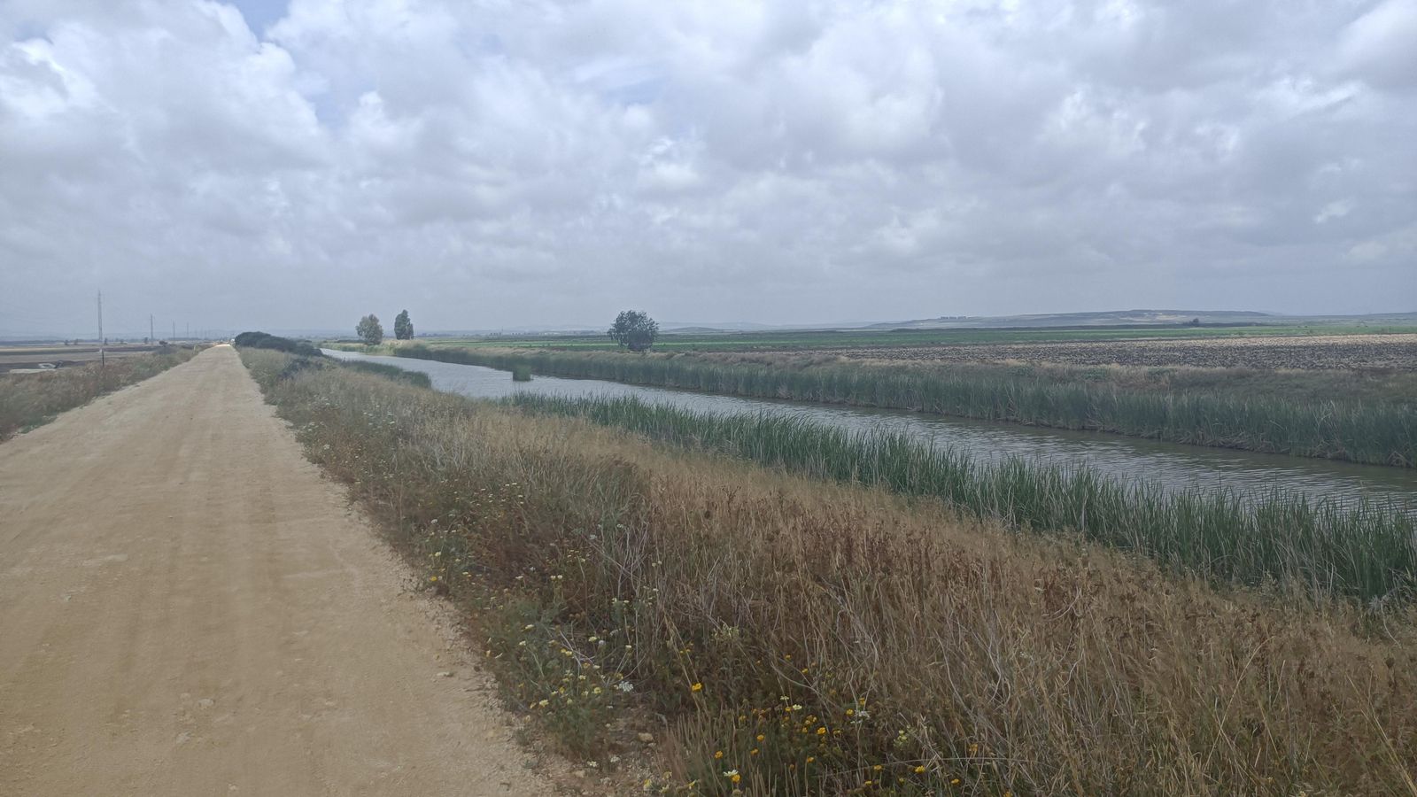 Caminaremos seis kilómetros por esta recta