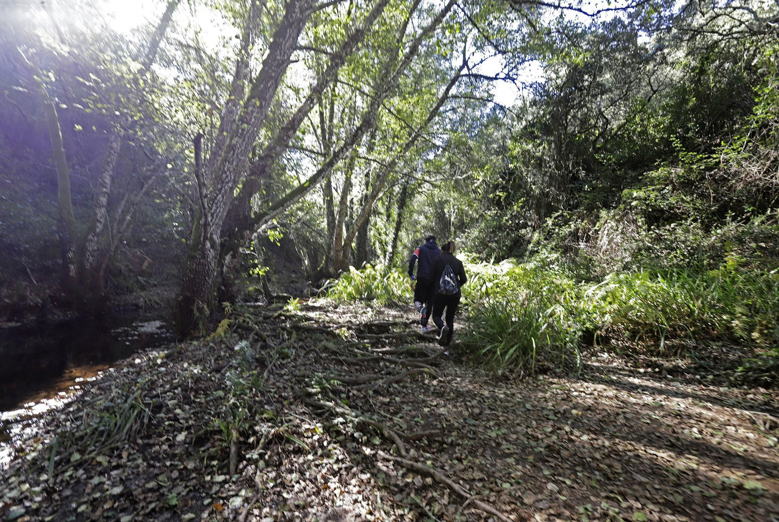 Ruta de Senderismo Charco Malo