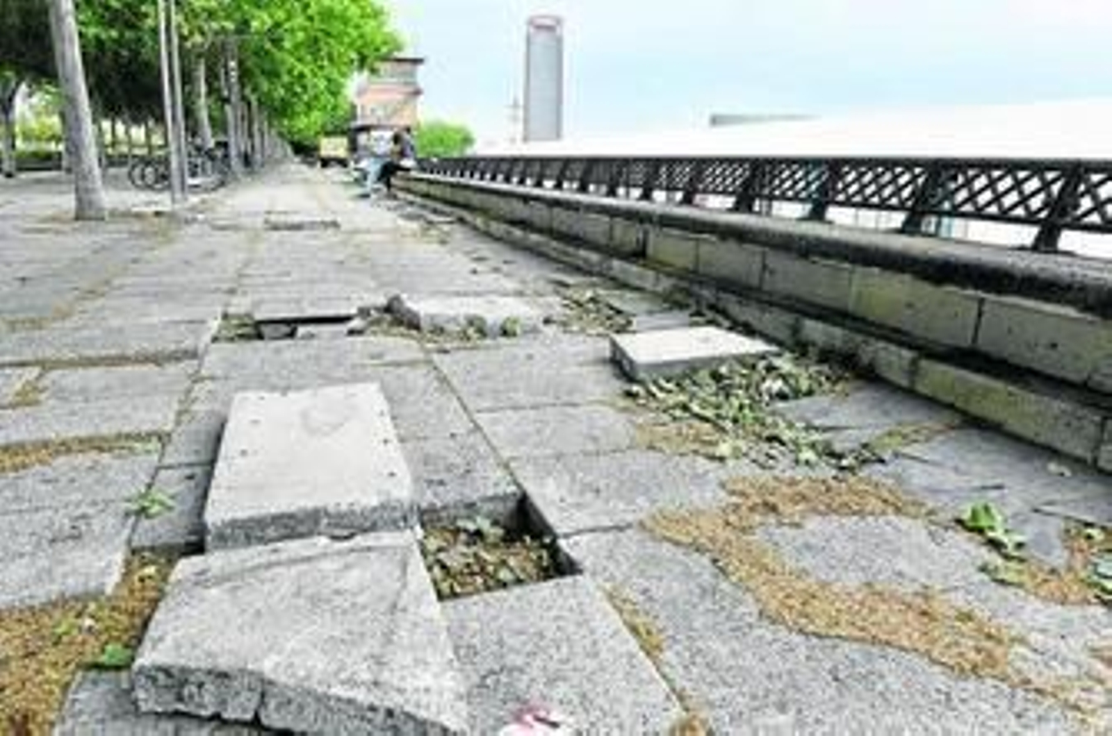 El paseo de Torneo: Un paisaje devastado