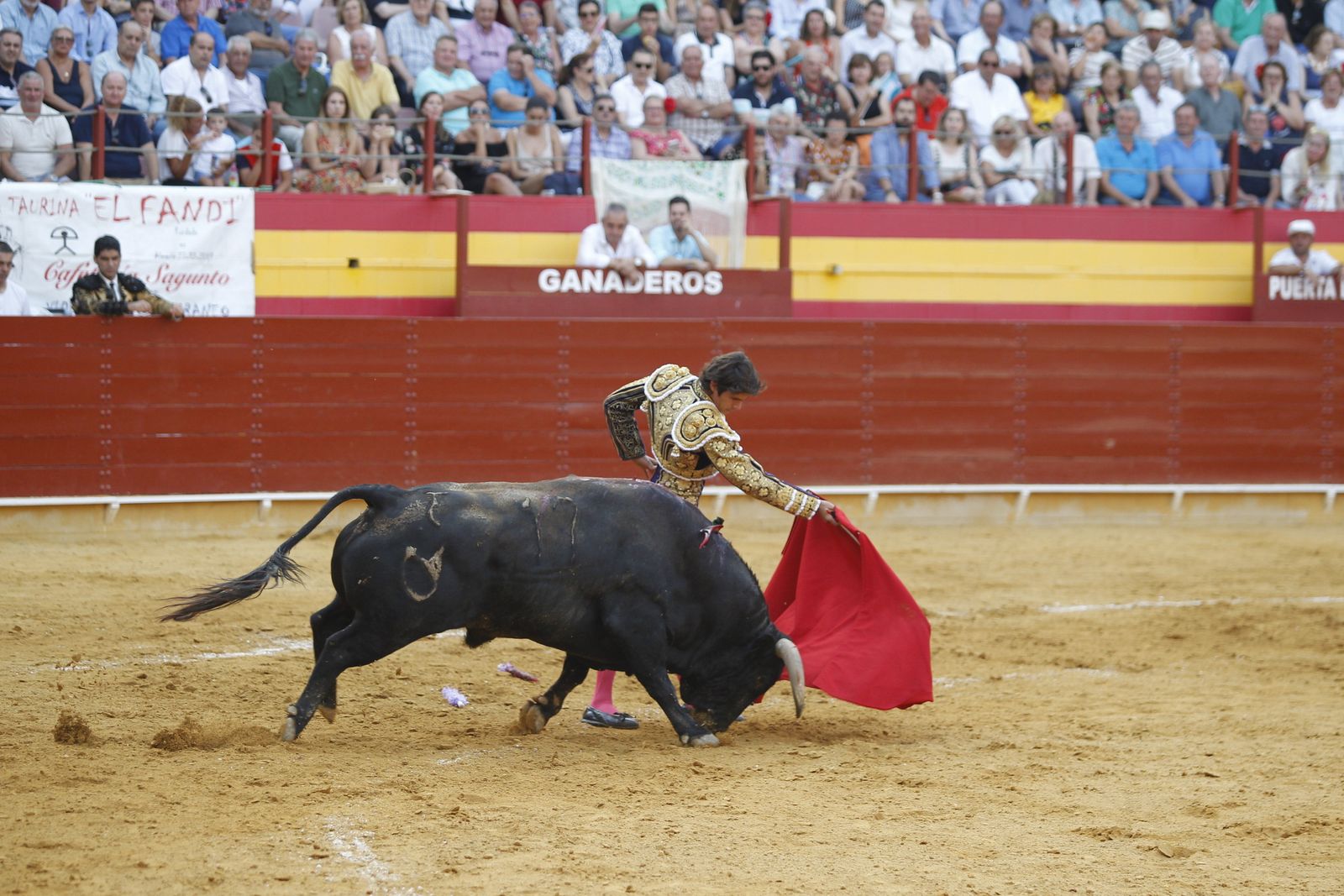 Fotogalería corrida de toros Roquetas de Mar. El Fandi, Castella, Cayetano.