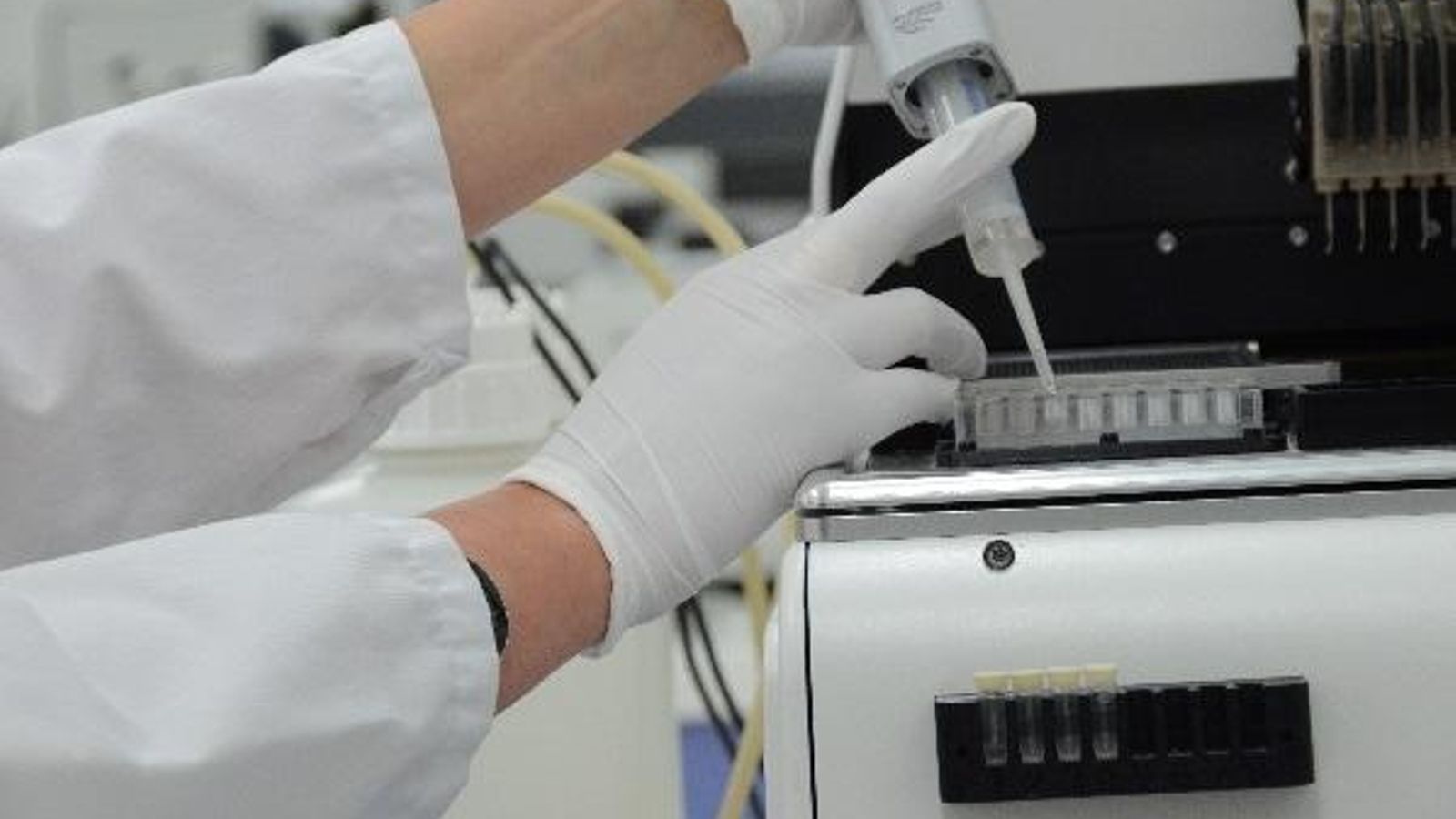 Laboratorio © de Investigación Limagrain Europa.