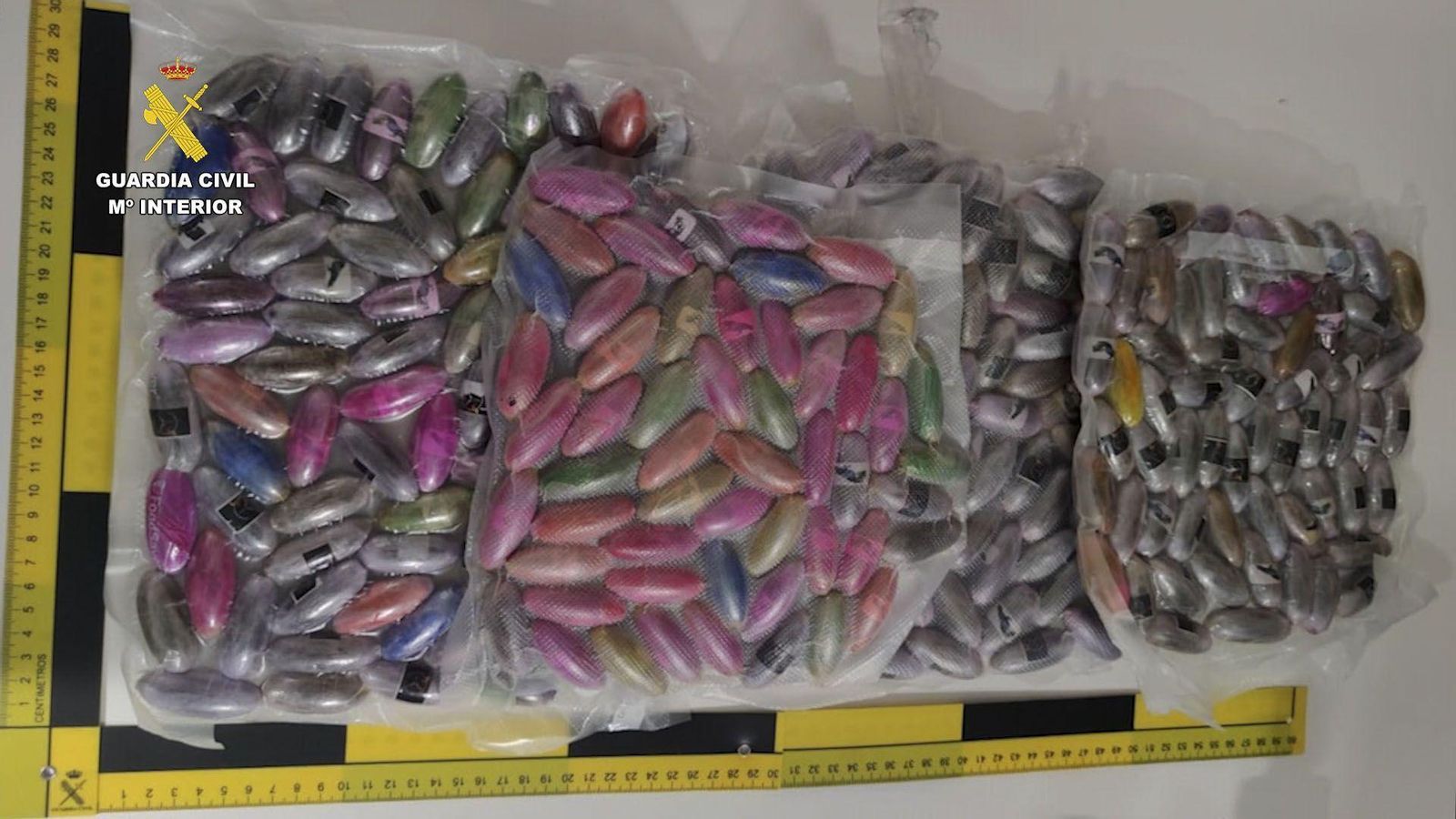 Las bellotas que llevaban los tres detenidos dentro de sus cuerpos.