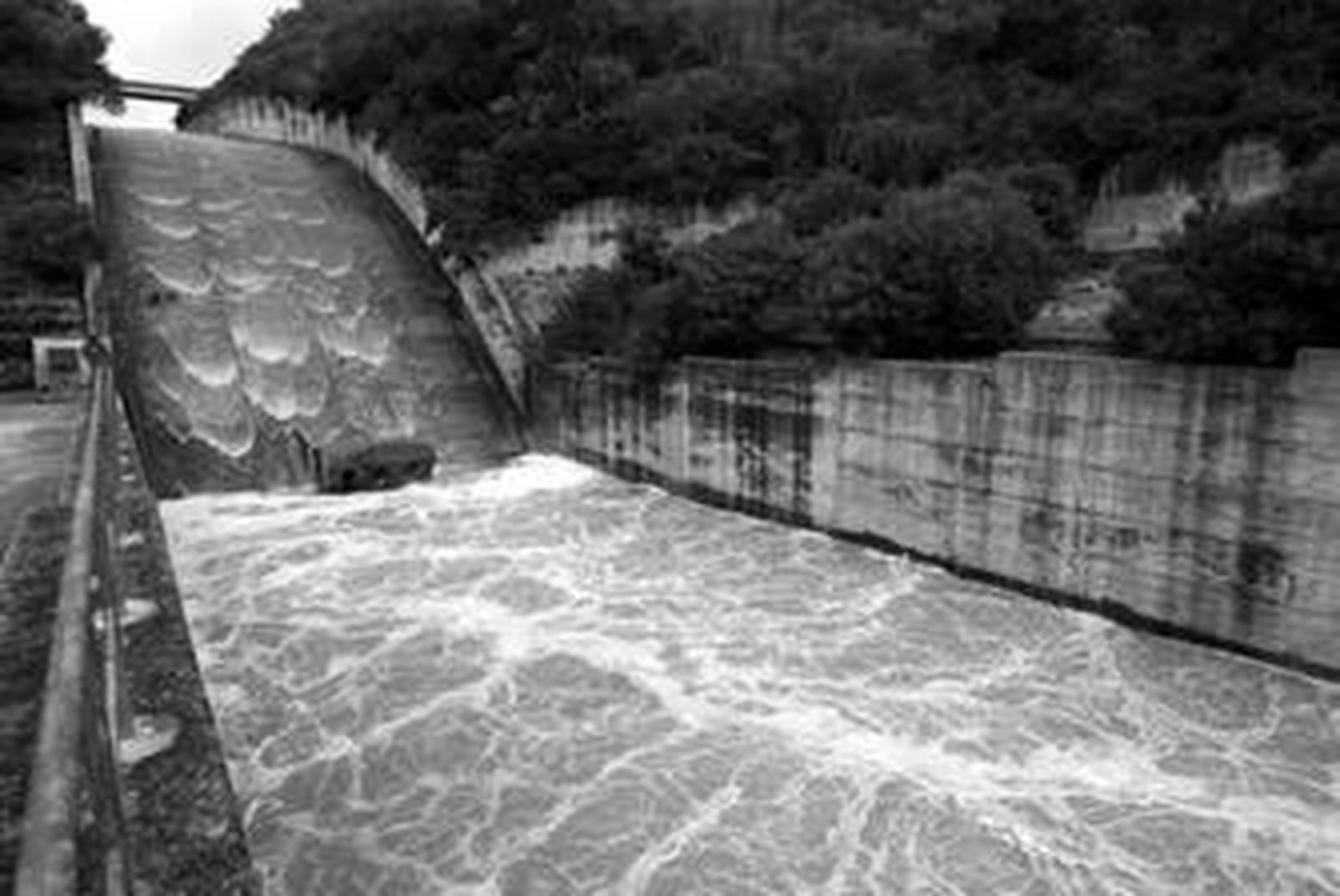 Imagen del agua que desde ayer desecha la presa de Guadarranque.