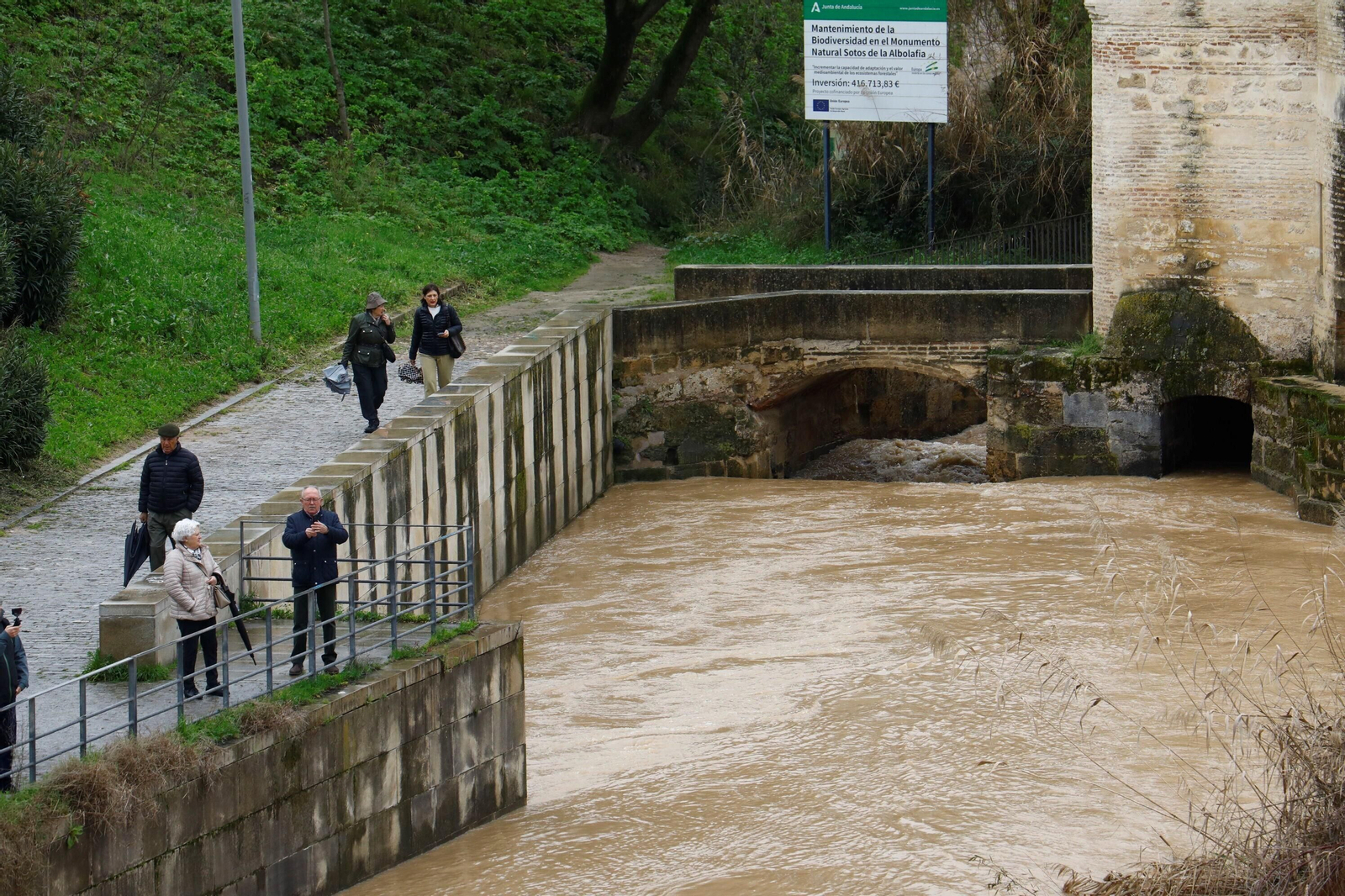 La crecida del río Guadalquivir en Córdoba tras las lluvias caídas por la borrasca Karlotta, en imágenes