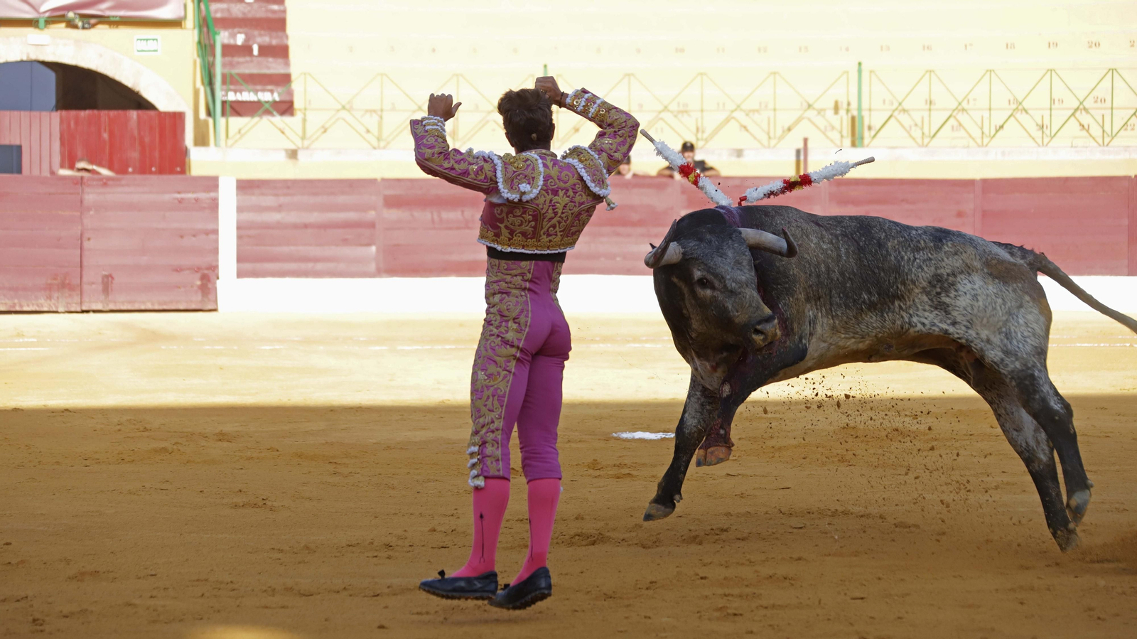 Fotos de la corrida del viernes de la Feria de La Línea: Curro Díaz, Manuel Escribano y David Galván