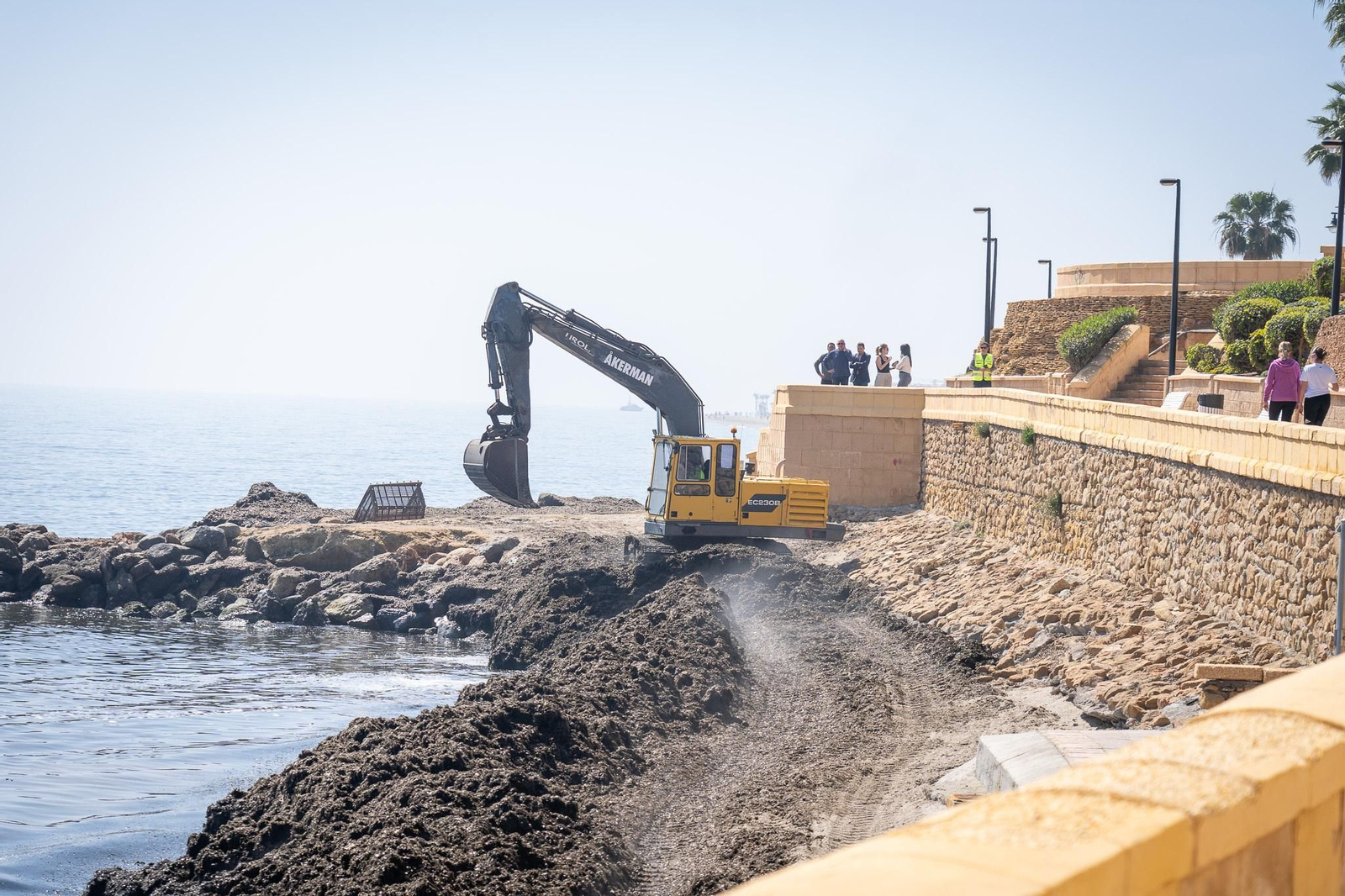 Las labores se están llevando a cabo de manera coordinada entre las áreas de Urbanismo y Medio Ambiente.