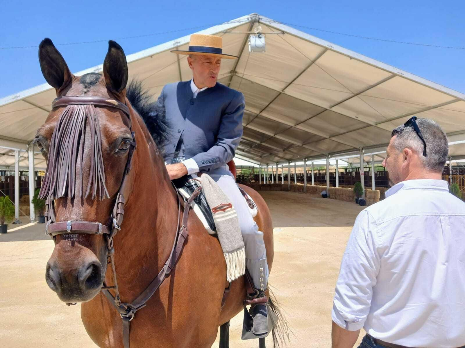 Imágenes de la Feria de Medina y su  concurso de ganado