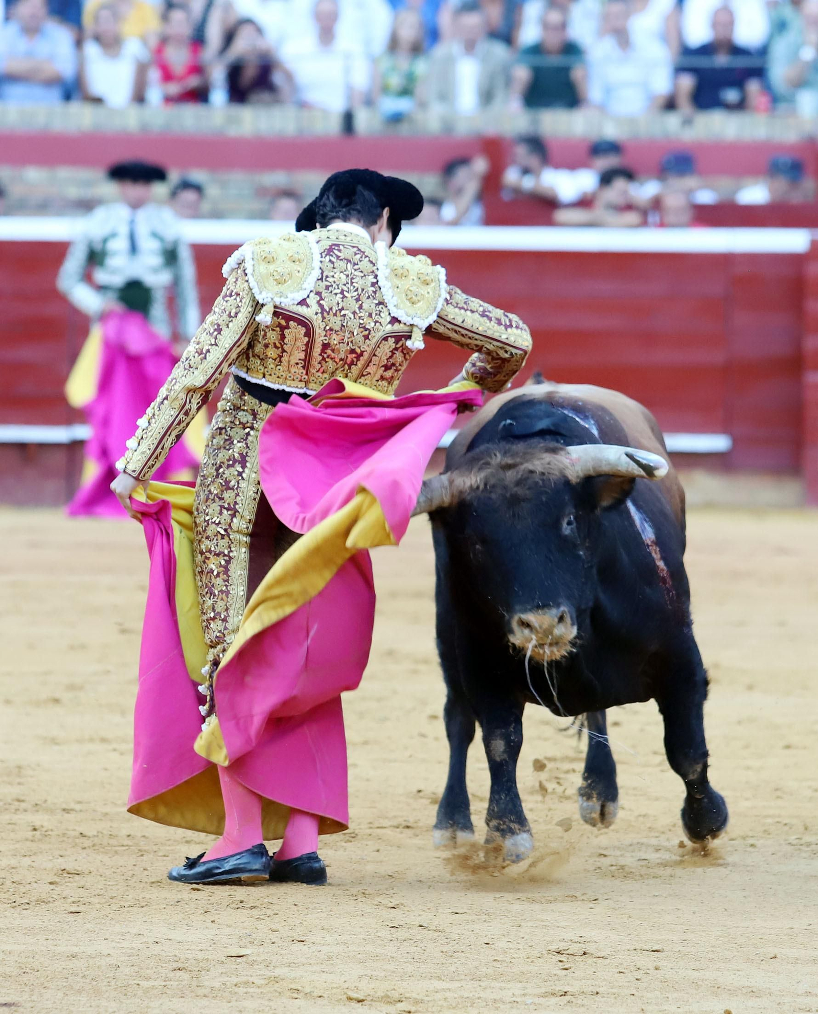 Imágenes de Morante de la Puebla, David de Miranda y Pablo Aguado en la Plaza de Toros La Merced