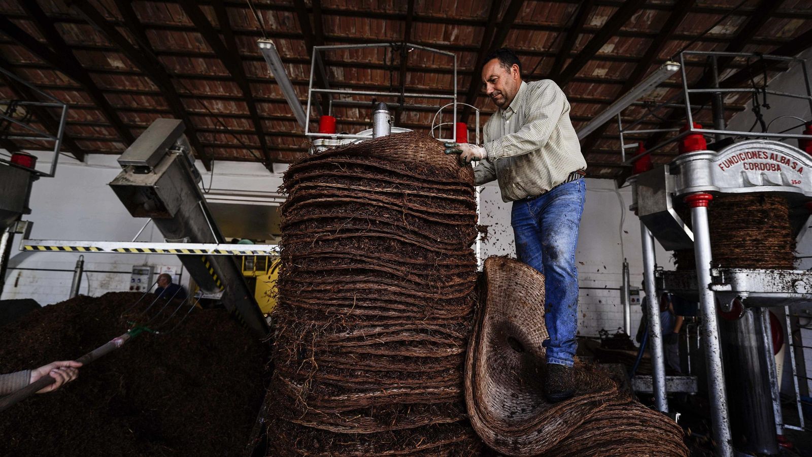 Un trabajador prensa en los capachos la uva para sacar el néctar en una finca de Montalbán.