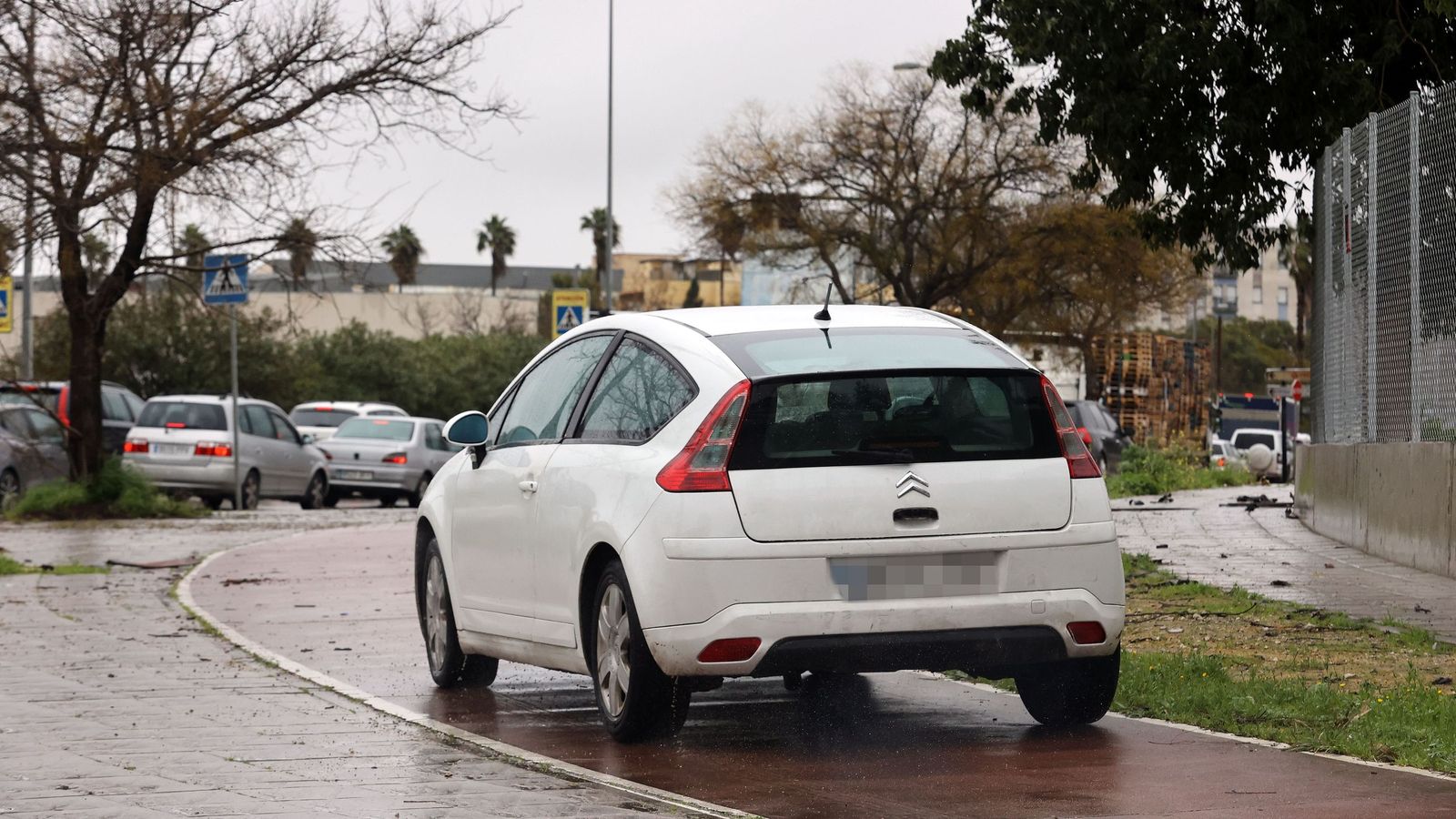 Ruta por la zona rural inundada de Jerez