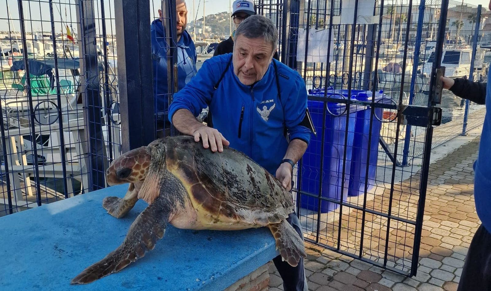 Voluntarios del CECAM con la tortuga boba.
