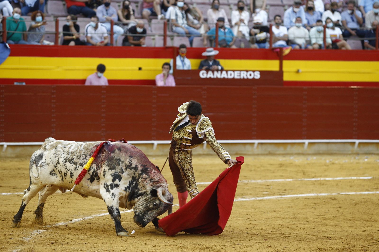 Fotogalería corrida de toros. Cayetano Rivera, Paco Ureña y Roca Rey. Roquetas de Mar.
