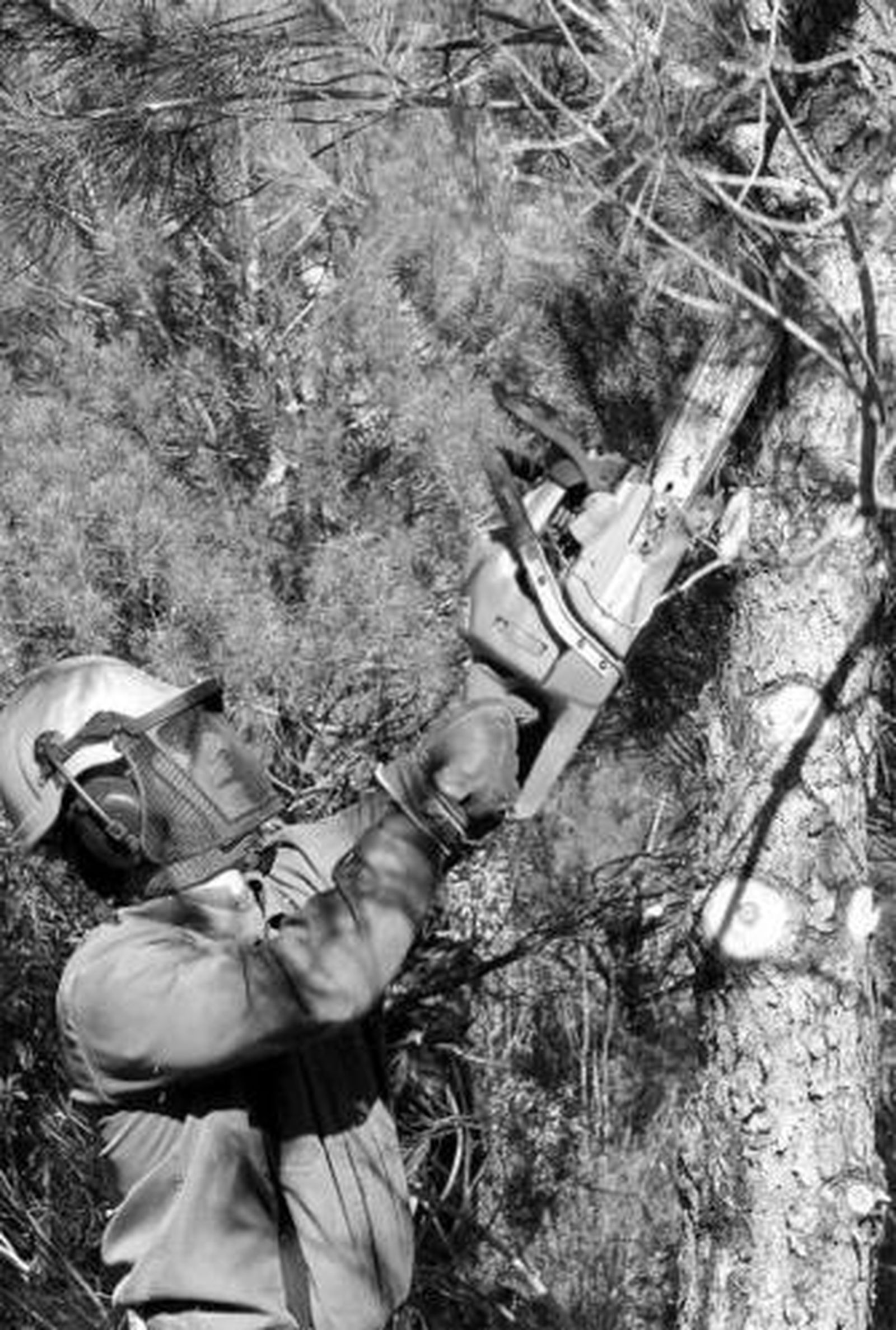 Ciudadanos en el centro polivalente de Berrocal, ayer.