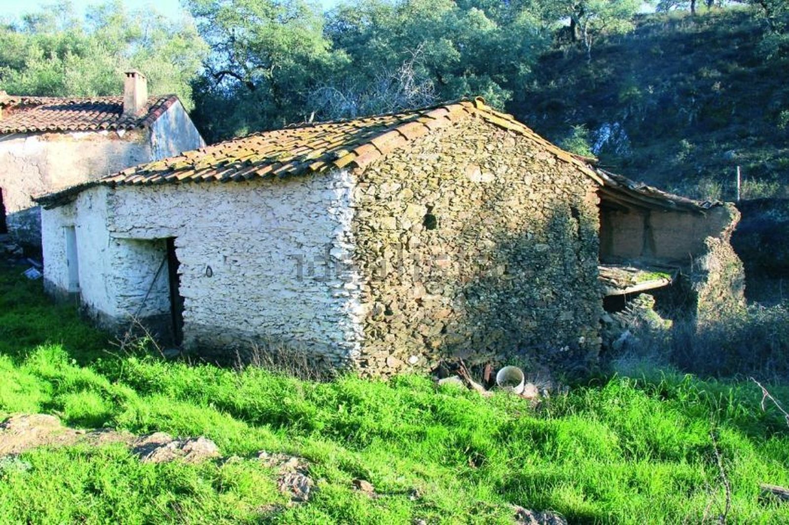 Una aldea rural de Huelva, a la venta por el precio de una vivienda en ...