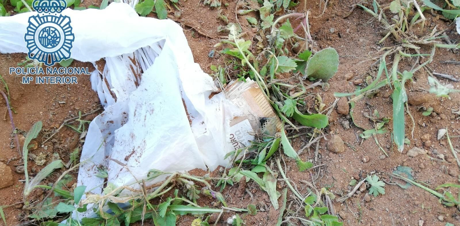 El dinero, tras ser encontrado enterrado en el campo por un perro policía.