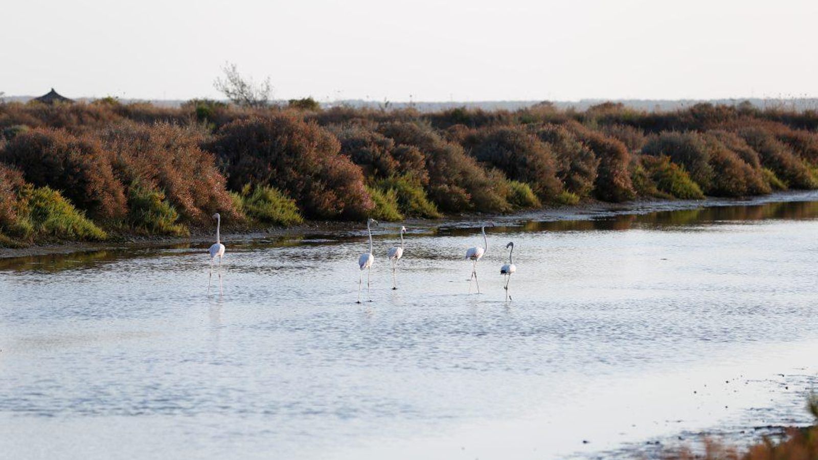 Huelva y sus espacios naturales