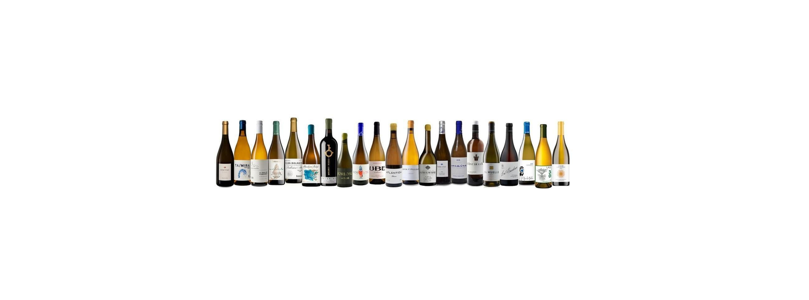 Una amplia muestra de los nuevos vinos blancos tranquilos, popularmente conocidos como vinos de pasto, que se elaboran en el Marco de Jerez.