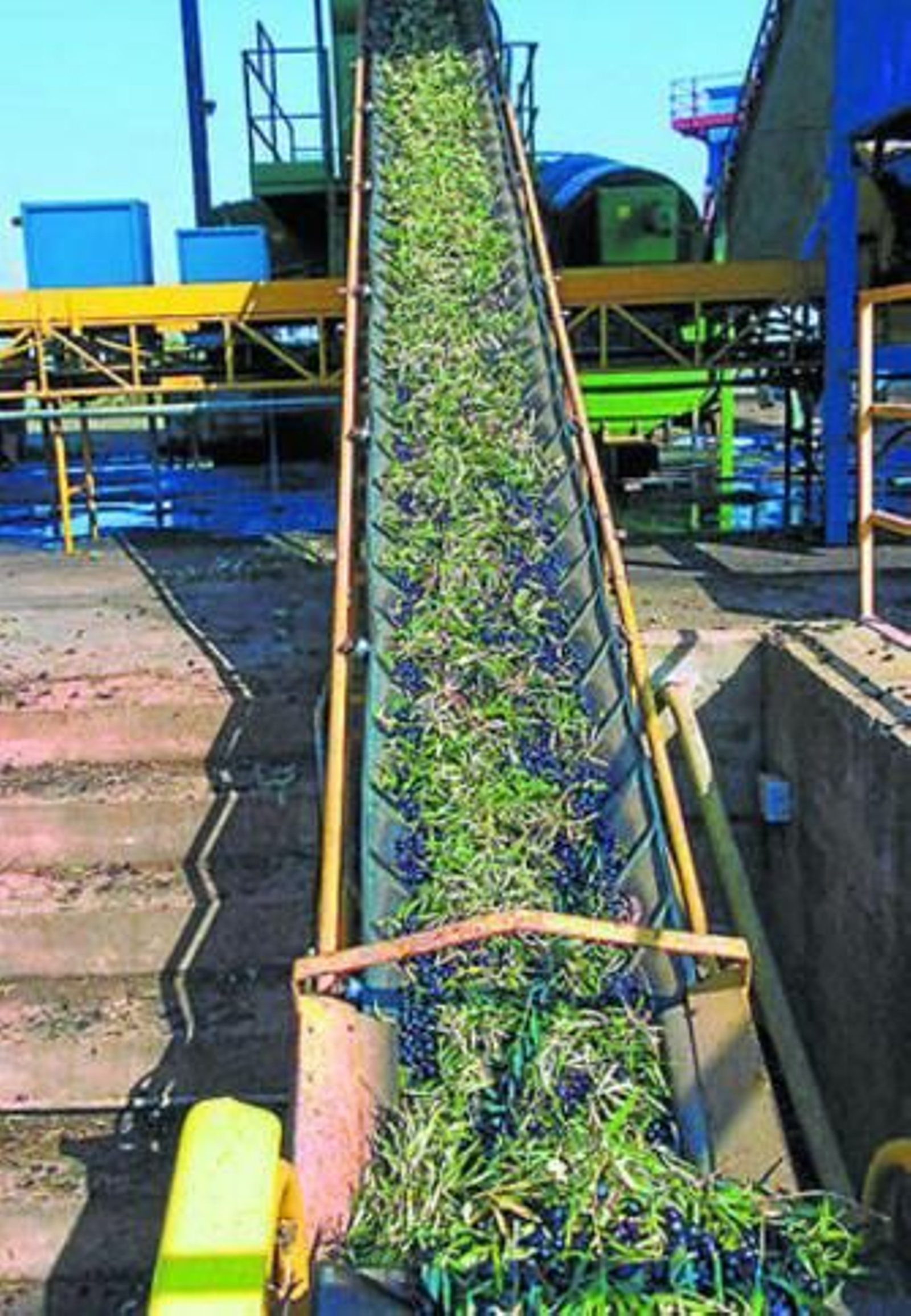 Almazara en proceso de molturación en la provincia de Sevilla. Almazara en proceso de molturación en la provincia de Sevilla.