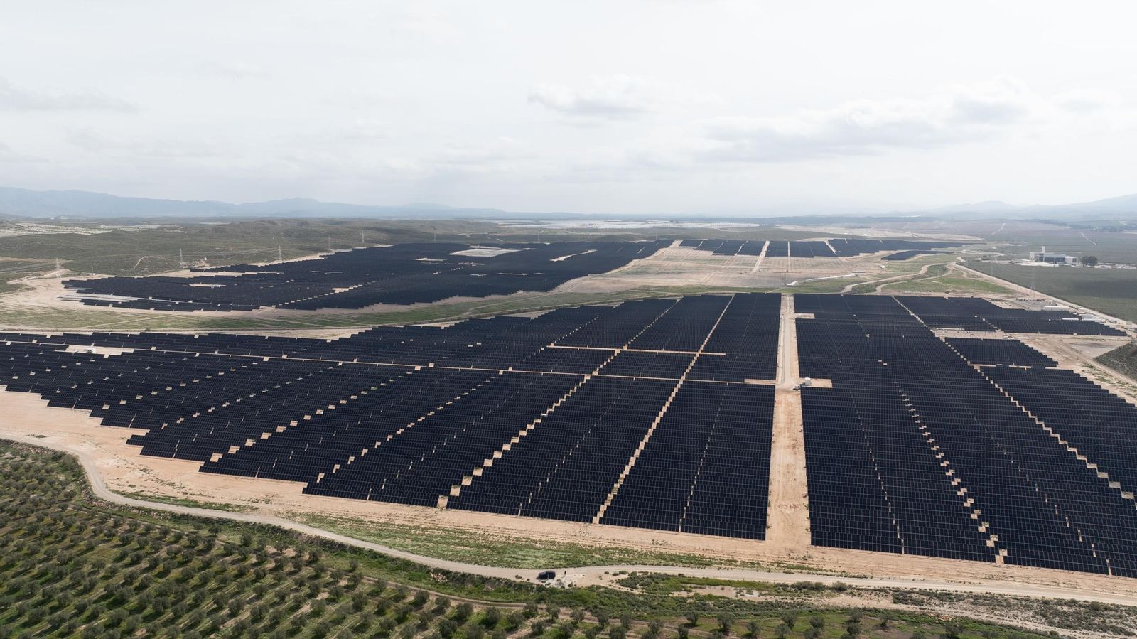 Planta solar en Almería.