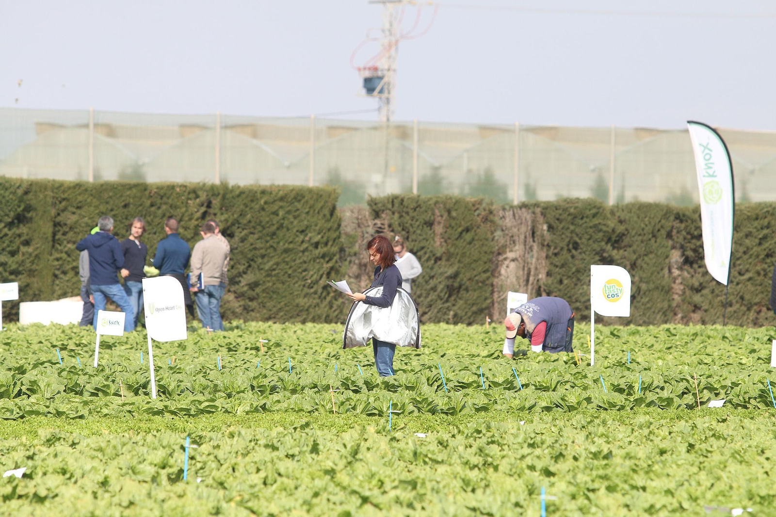 Fotogalería de las jornadas de puertas abiertas de Rijk Zwaan en Cartagena