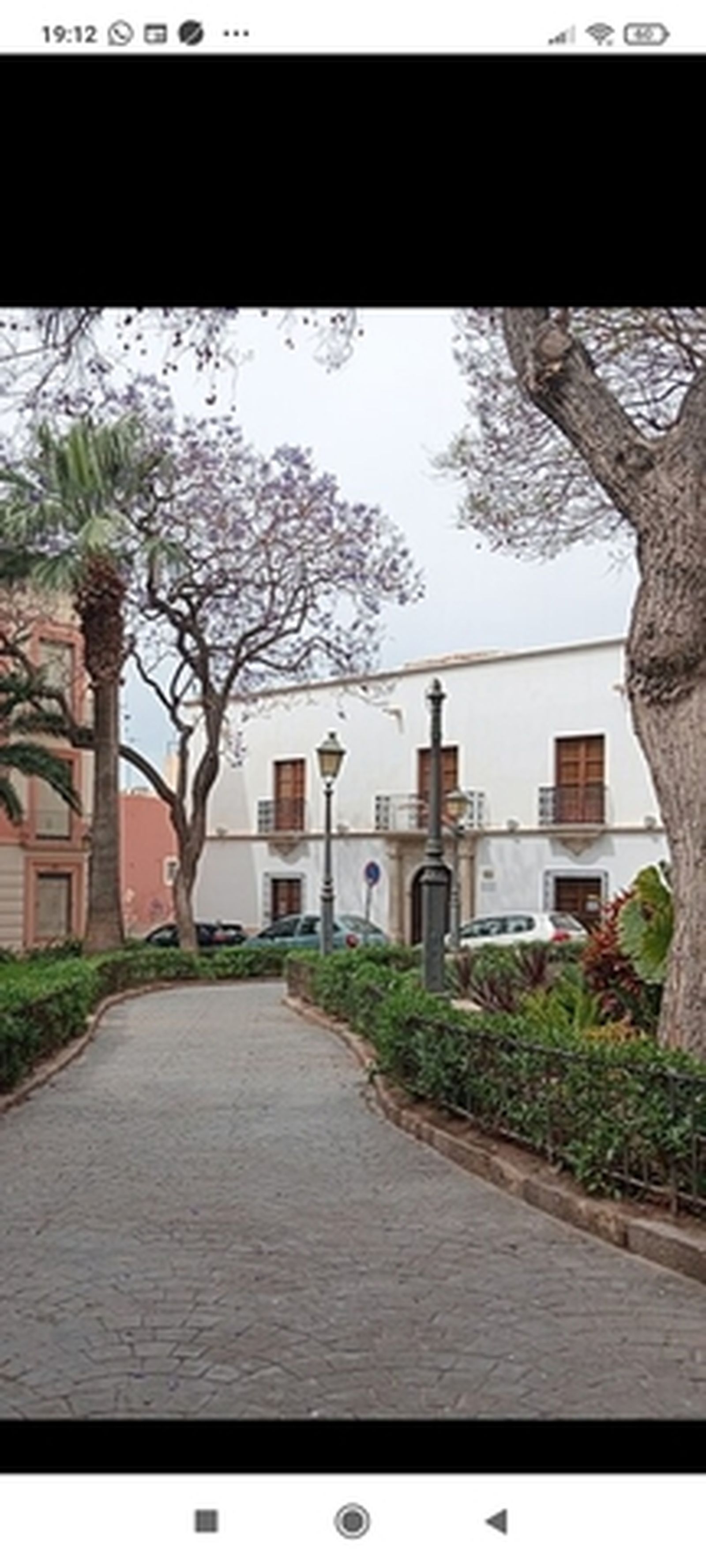 Bendicho y los Puche