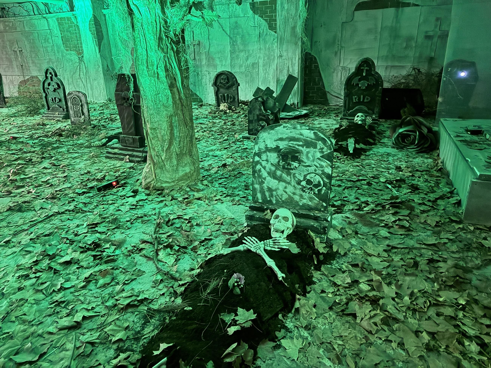 'Casa Maldita' de San Roque.