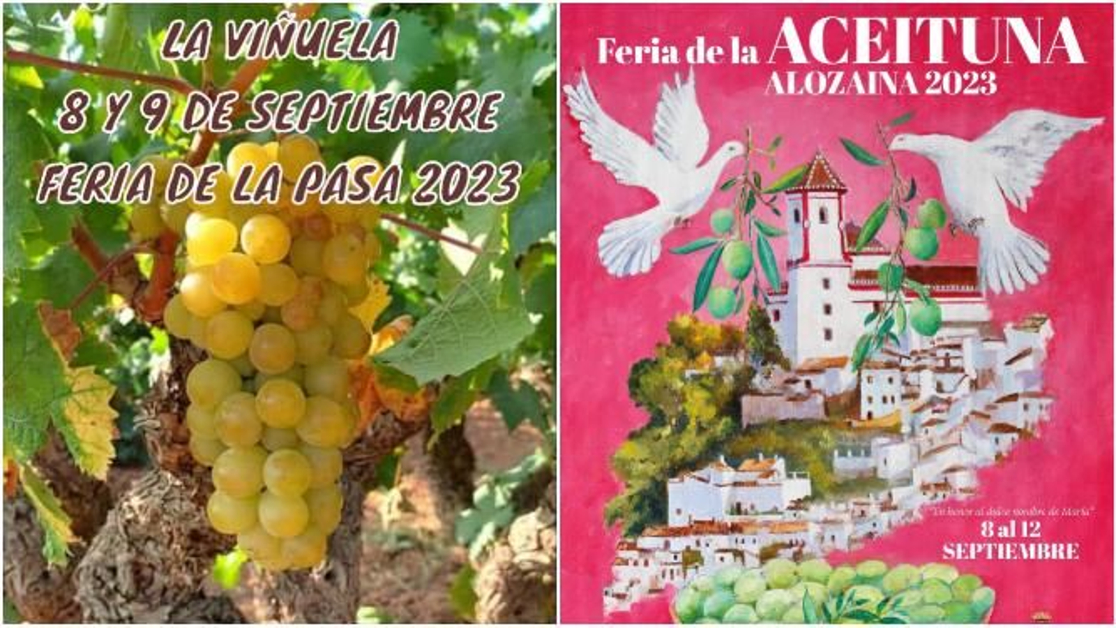 Feria de la Pasa en La Viñuela y de la Acetiuna en Alozaina este fin de semana.