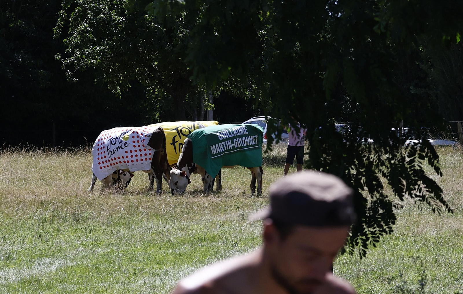 Las mejores fotos del Tour de Francia | Etapa 6 Las mejores fotos del Tour de Francia | Etapa 6