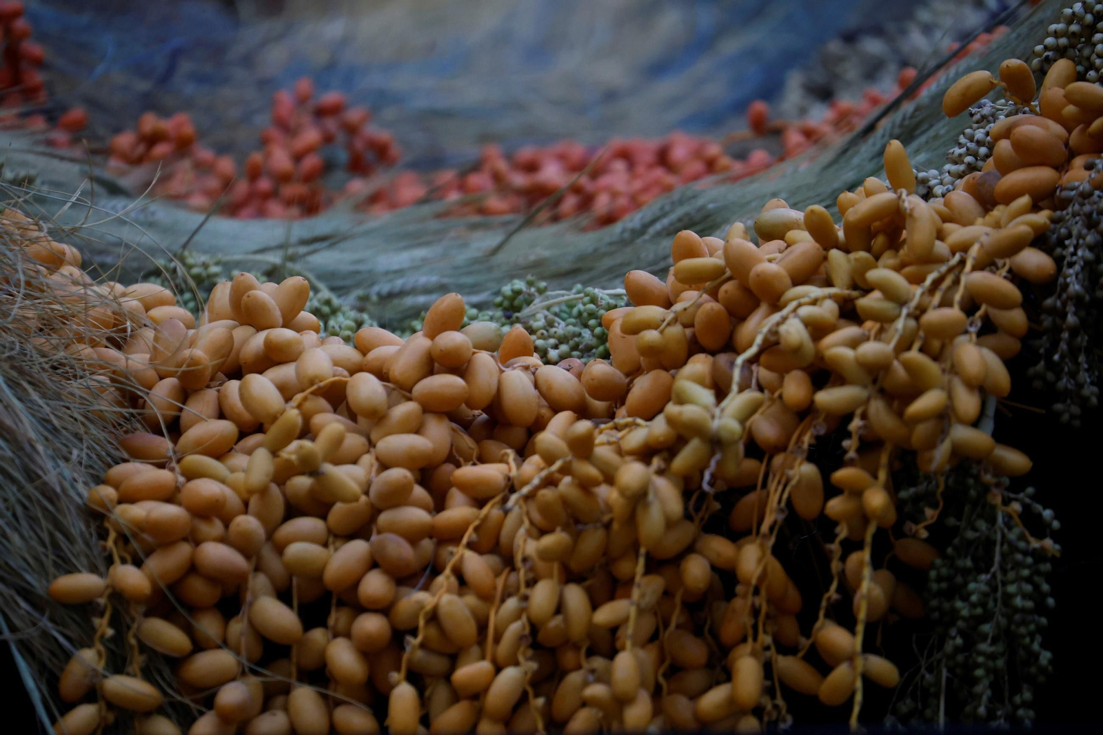 Las creaciones de los artistas de Flora, en imágenes