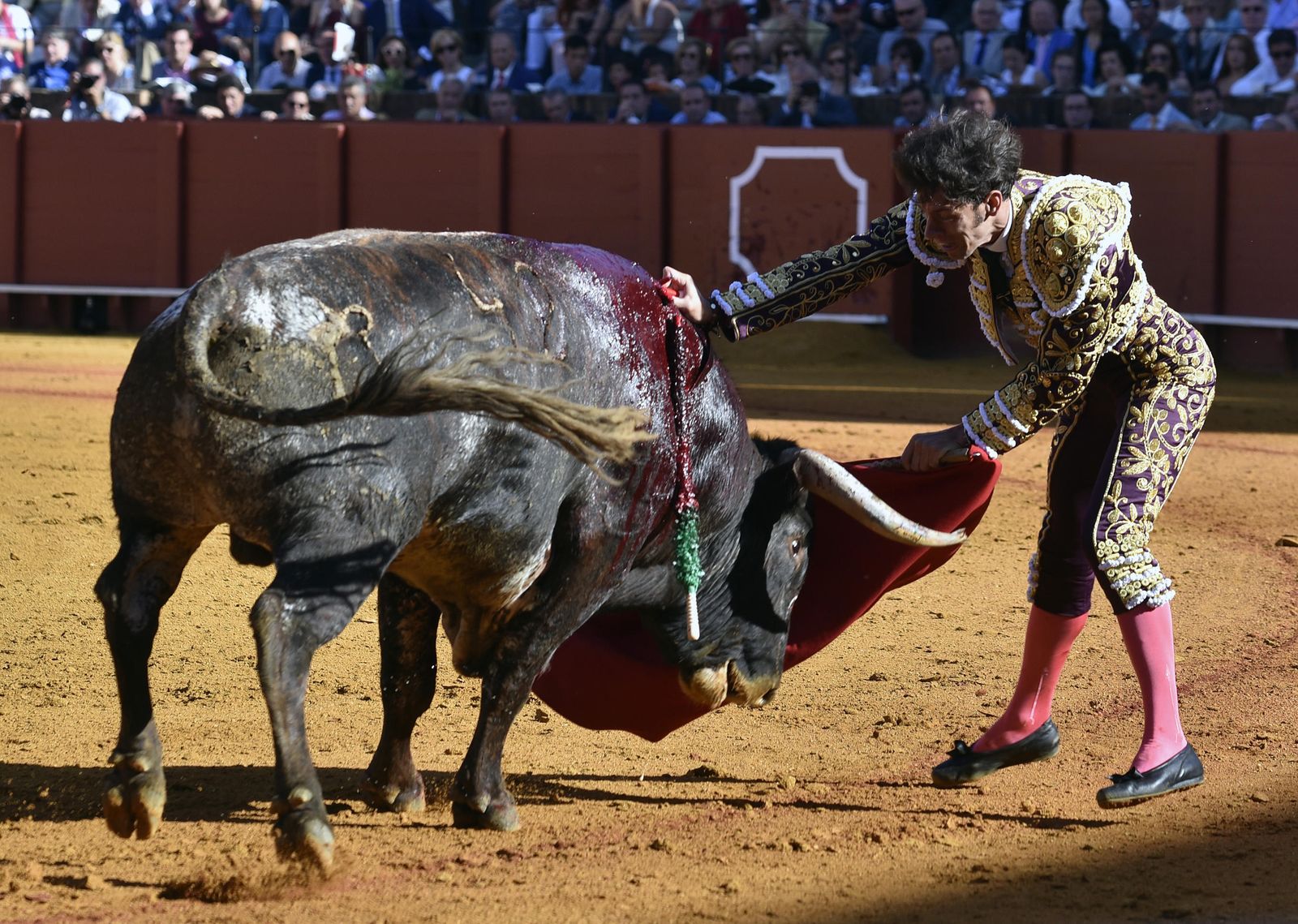 La 14ª de abono en la Real Maestranza de Sevilla, en imágenes